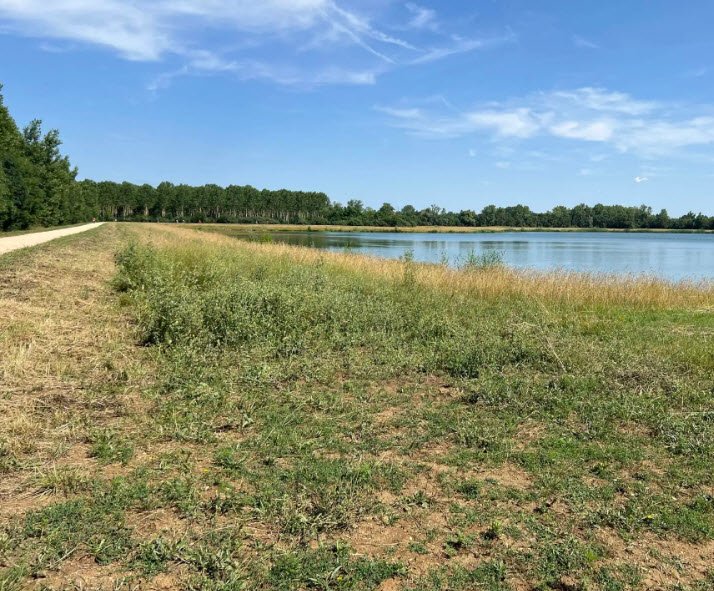 Lac de Cormoranche, France, France